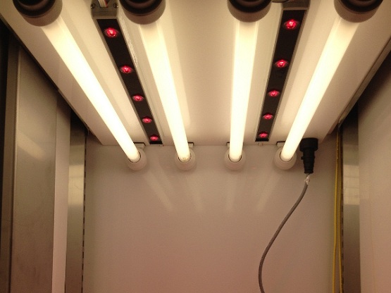 Philips GreenPower LED with Fluorescent