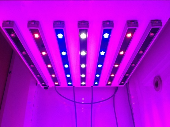 Philips GreenPower LED