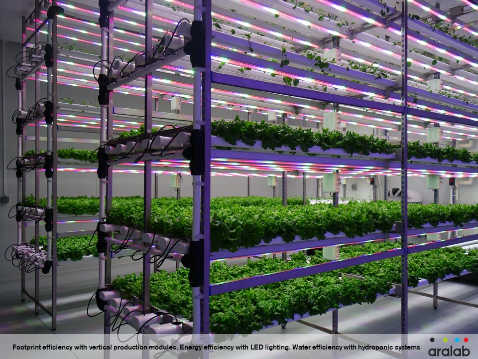 Aralab Controlled Environment Room LED Light, Hydroponic gullies, PFAL