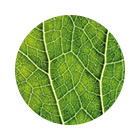 Bio